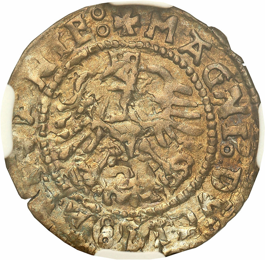 Zygmunt I Stary. Półgrosz 1528, Wilno NGC UNC - RZADKOŚĆ R6